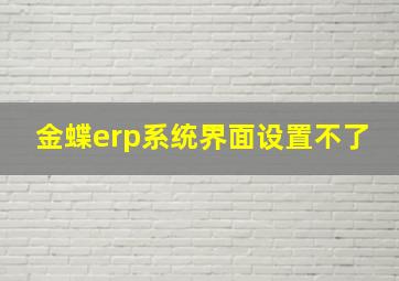 金蝶erp系统界面设置不了