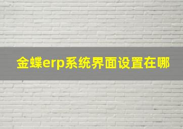 金蝶erp系统界面设置在哪