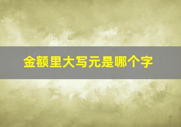 金额里大写元是哪个字