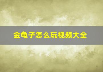 金龟子怎么玩视频大全