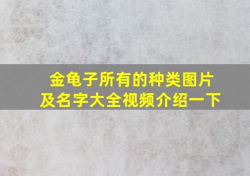 金龟子所有的种类图片及名字大全视频介绍一下