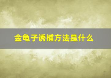 金龟子诱捕方法是什么