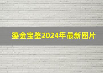 鎏金宝鉴2024年最新图片