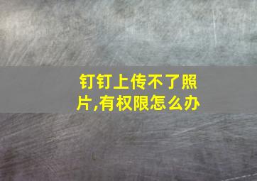 钉钉上传不了照片,有权限怎么办