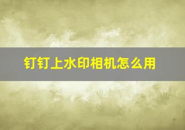 钉钉上水印相机怎么用