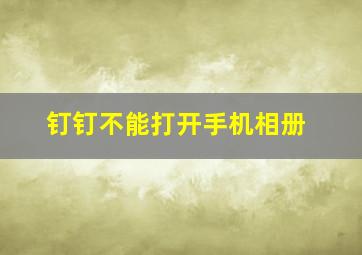 钉钉不能打开手机相册