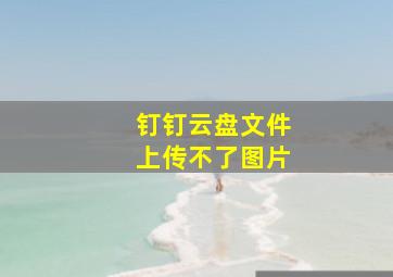 钉钉云盘文件上传不了图片