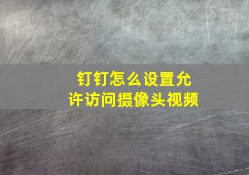 钉钉怎么设置允许访问摄像头视频