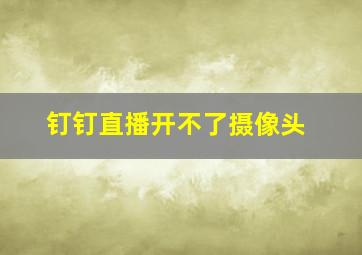 钉钉直播开不了摄像头