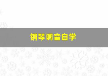 钢琴调音自学