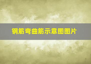 钢筋弯曲筋示意图图片