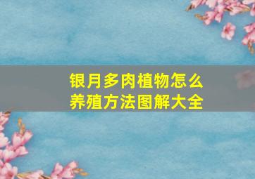 银月多肉植物怎么养殖方法图解大全