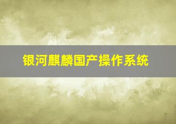 银河麒麟国产操作系统