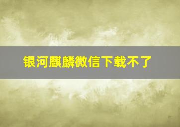 银河麒麟微信下载不了