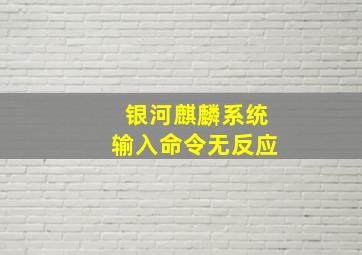 银河麒麟系统输入命令无反应