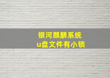 银河麒麟系统u盘文件有小锁