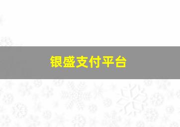 银盛支付平台