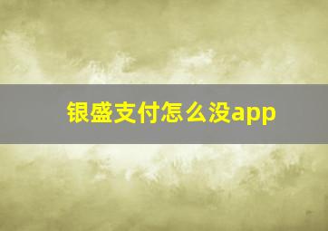 银盛支付怎么没app