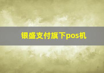 银盛支付旗下pos机