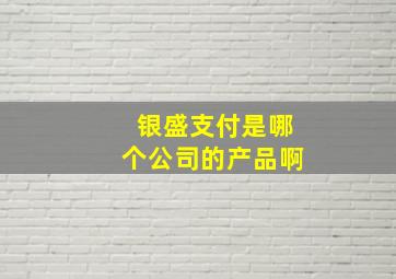 银盛支付是哪个公司的产品啊