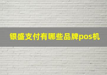 银盛支付有哪些品牌pos机