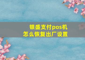 银盛支付pos机怎么恢复出厂设置