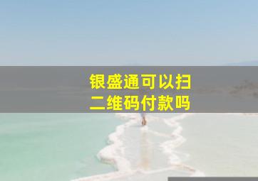 银盛通可以扫二维码付款吗