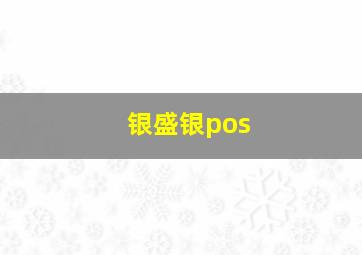 银盛银pos