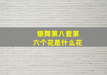 银舞第八套第六个花是什么花