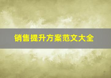 销售提升方案范文大全