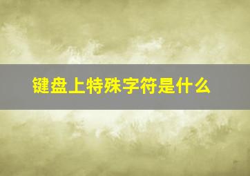 键盘上特殊字符是什么