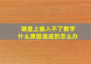 键盘上输入不了数字什么原因造成的怎么办