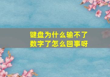 键盘为什么输不了数字了怎么回事呀