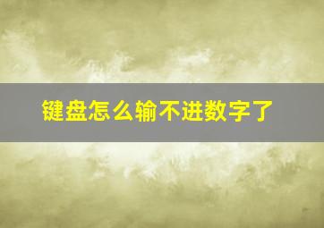 键盘怎么输不进数字了