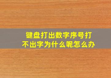 键盘打出数字序号打不出字为什么呢怎么办