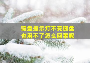 键盘指示灯不亮键盘也用不了怎么回事呢