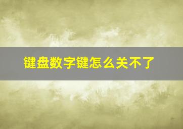 键盘数字键怎么关不了