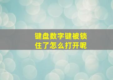 键盘数字键被锁住了怎么打开呢