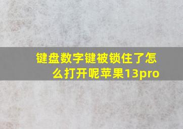 键盘数字键被锁住了怎么打开呢苹果13pro