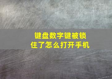 键盘数字键被锁住了怎么打开手机