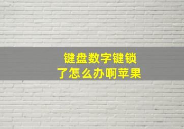 键盘数字键锁了怎么办啊苹果