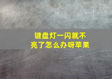 键盘灯一闪就不亮了怎么办呀苹果