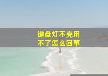 键盘灯不亮用不了怎么回事