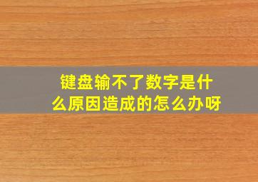 键盘输不了数字是什么原因造成的怎么办呀