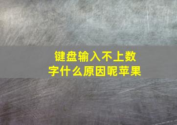 键盘输入不上数字什么原因呢苹果