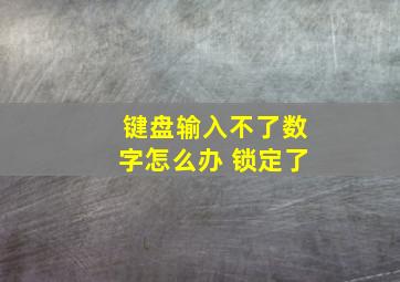 键盘输入不了数字怎么办 锁定了