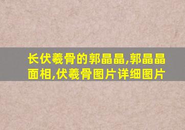 长伏羲骨的郭晶晶,郭晶晶面相,伏羲骨图片详细图片