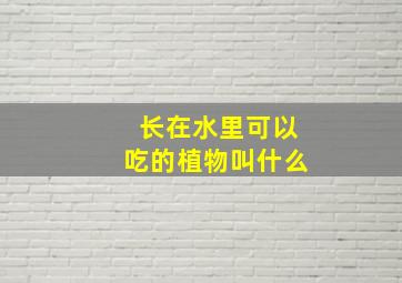 长在水里可以吃的植物叫什么