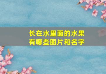 长在水里面的水果有哪些图片和名字