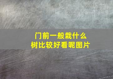 门前一般栽什么树比较好看呢图片